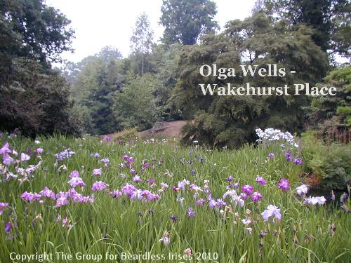Olga Wells - photo from Wakehurst Place (2)